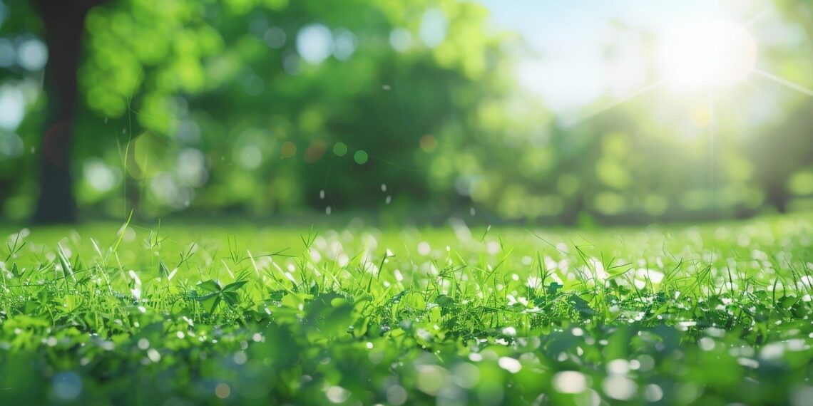ai generated, grass, dewdrops