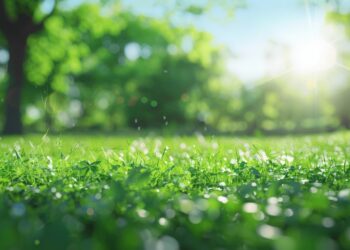 ai generated, grass, dewdrops