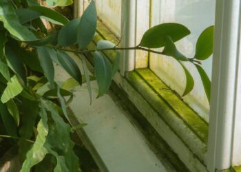a window sill with a green plant in front of it