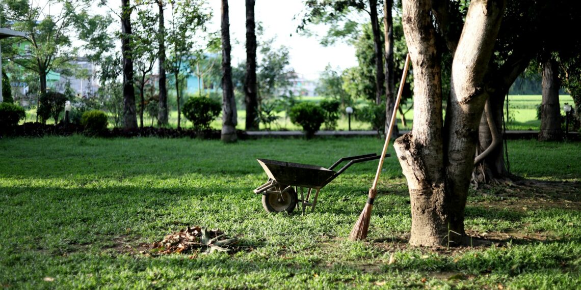 black wheelbarrow near tree during daytime